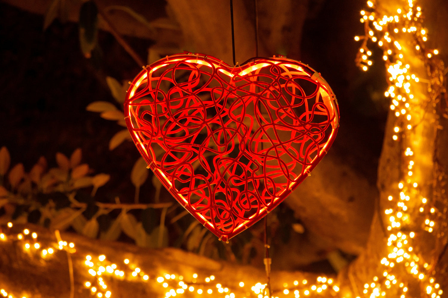 Valentine's Day